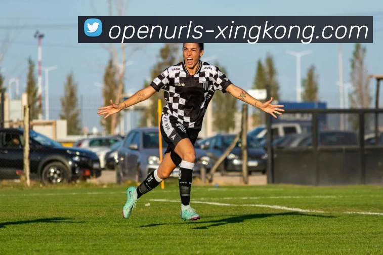 App Interface Preview