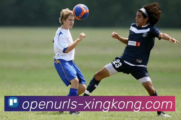 星空官网APP 封面图